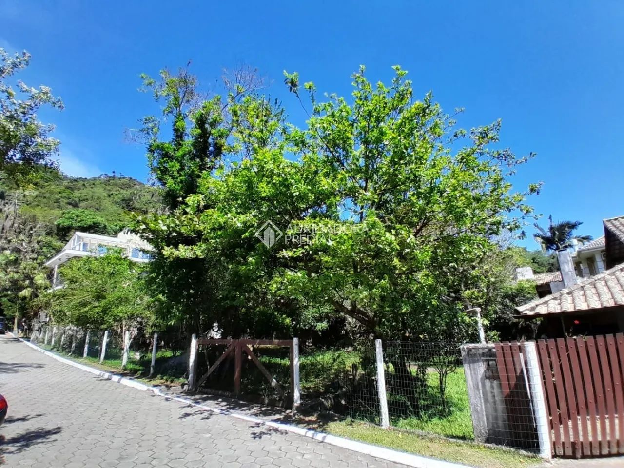 Casa em Condomínio 4 quarto(s), no bairro Ponta das Canas - Foto 3