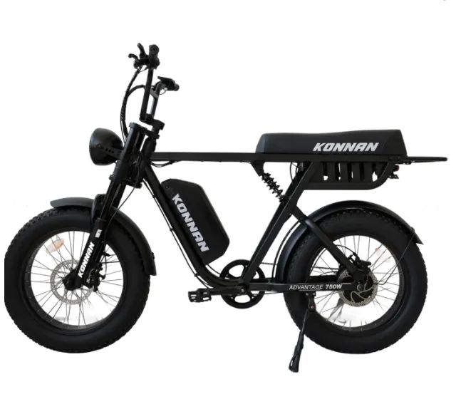 BICICLETA ELETRICA750W