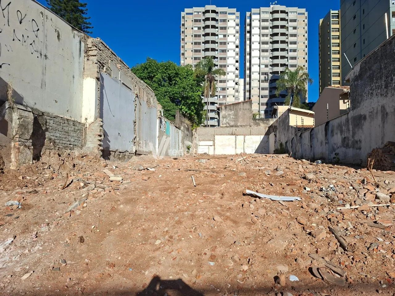 terreno - Bosque - Campinas
