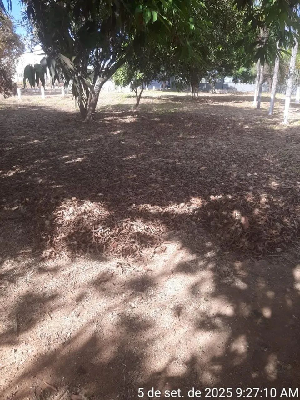 Foto - Brasília - Santa Maria