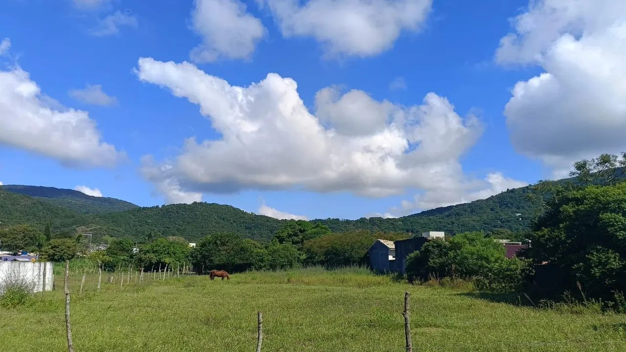 Terreno plano e seco, com 126.50m quadrados