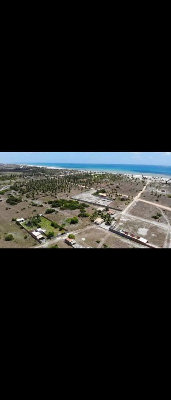 Terreno  - Foto 2
