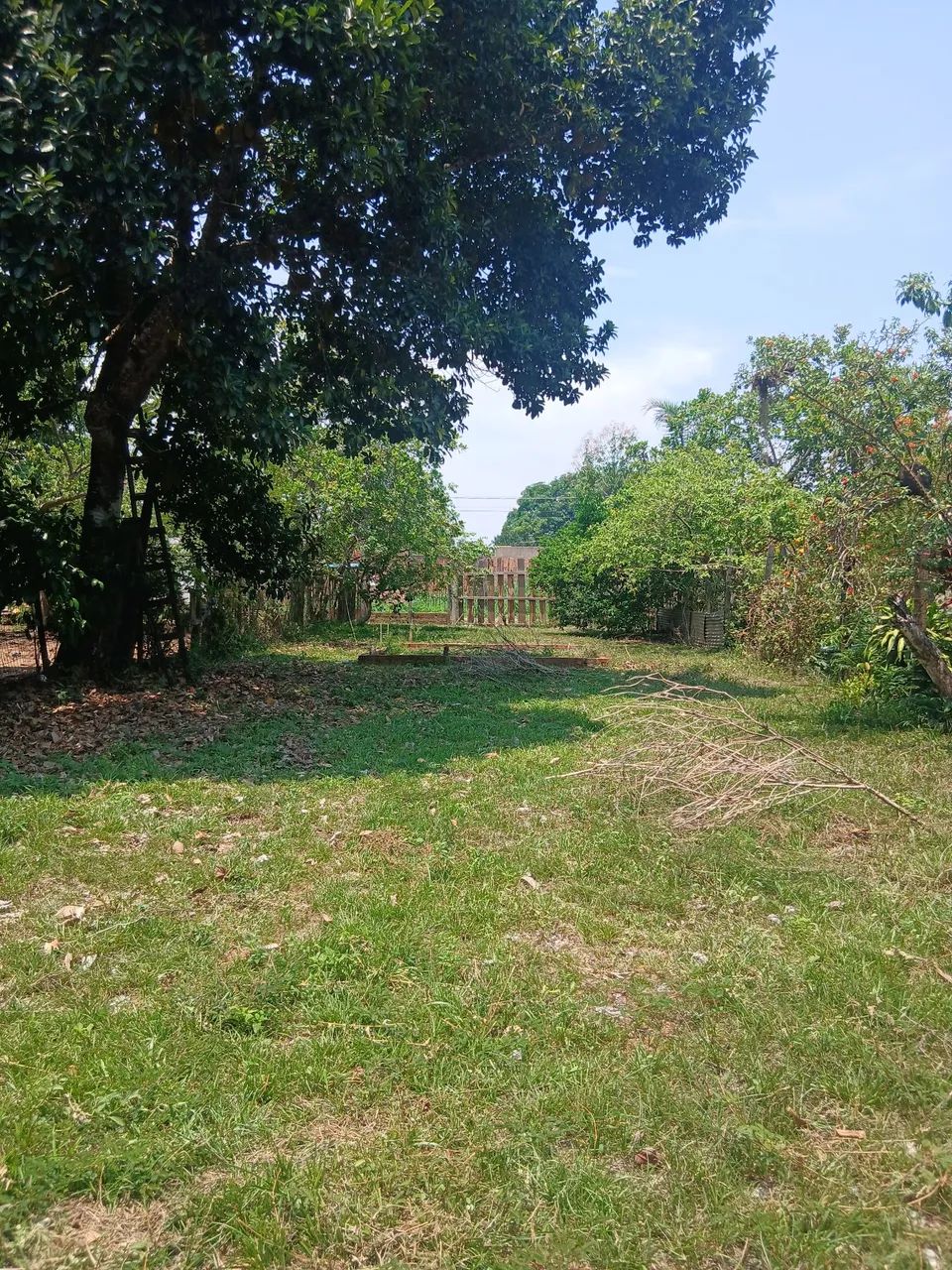 Vendo esse lindo terreno  - Foto 3