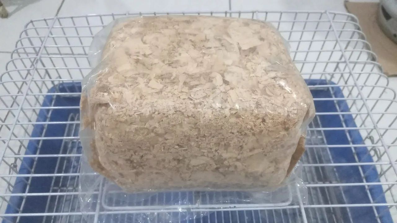 Gaiola de Hamster com brinde - Foto 4