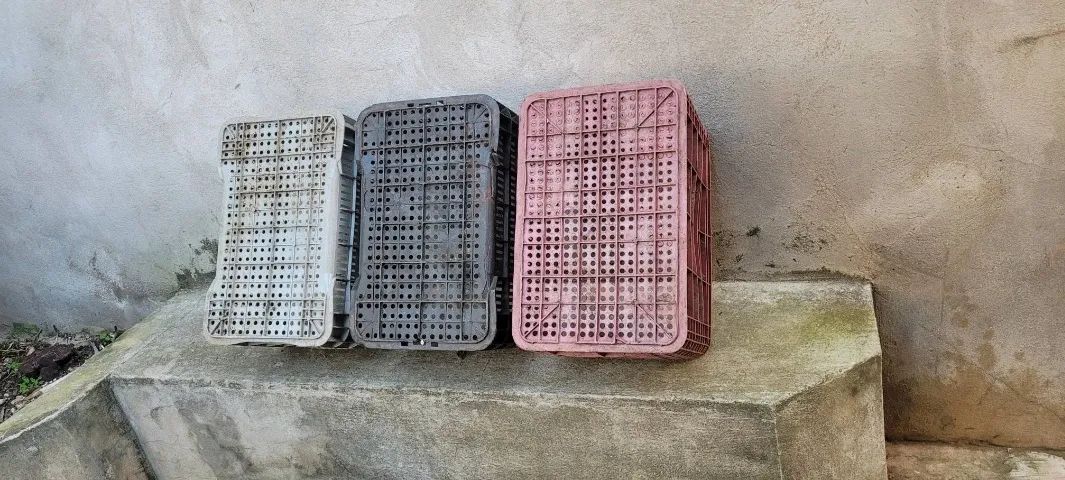 caixa hortifruti - Foto 2