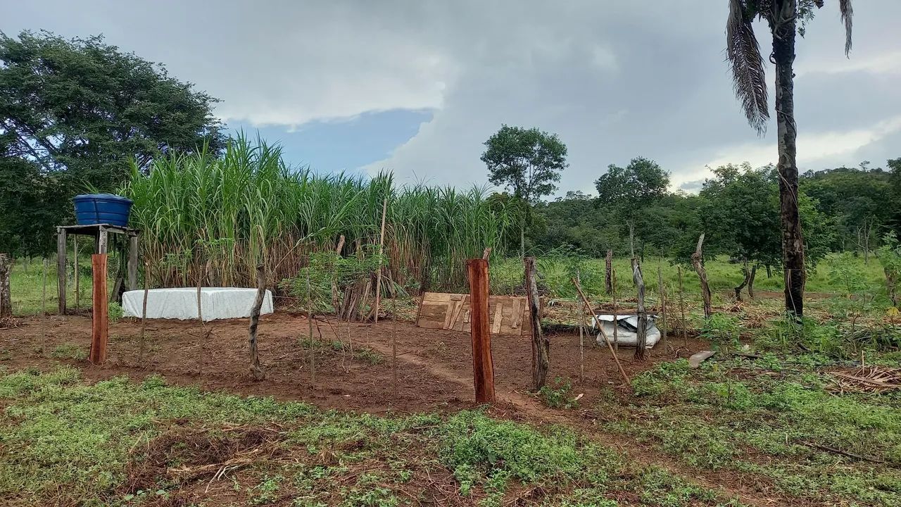 Fazenda 21.8 ha documentada. - Foto 2