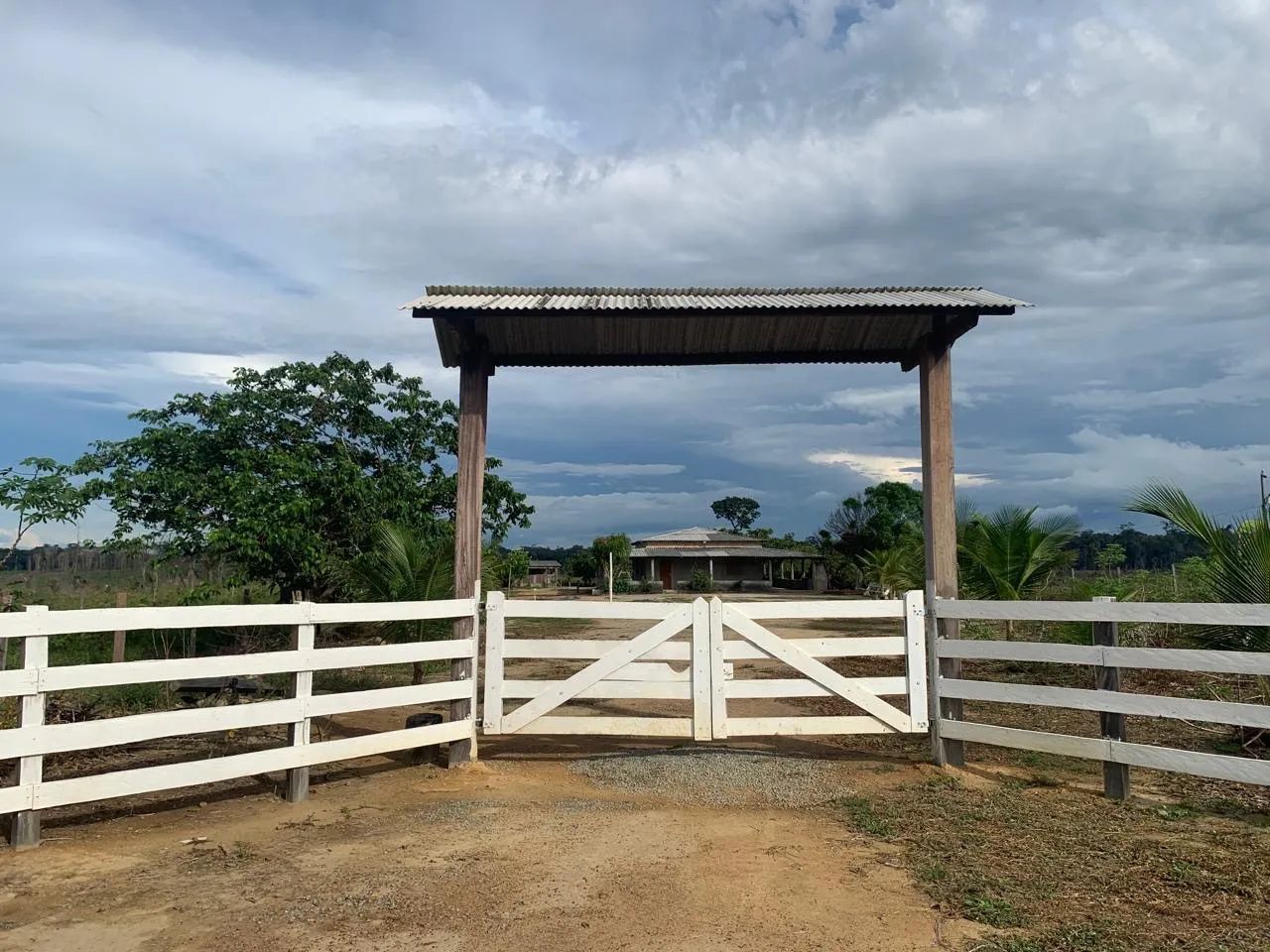 FAZENDA A VENDA EM CAROEBE RR - Foto 2