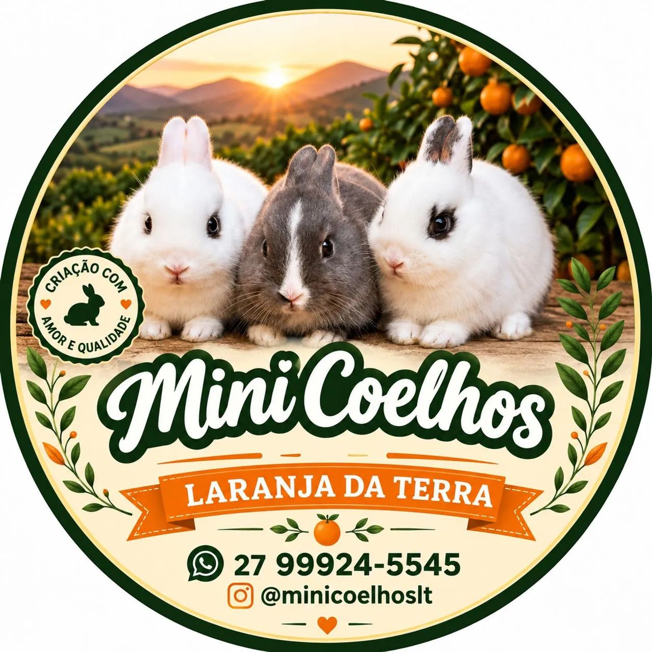 Mini coelhos  - Foto 2