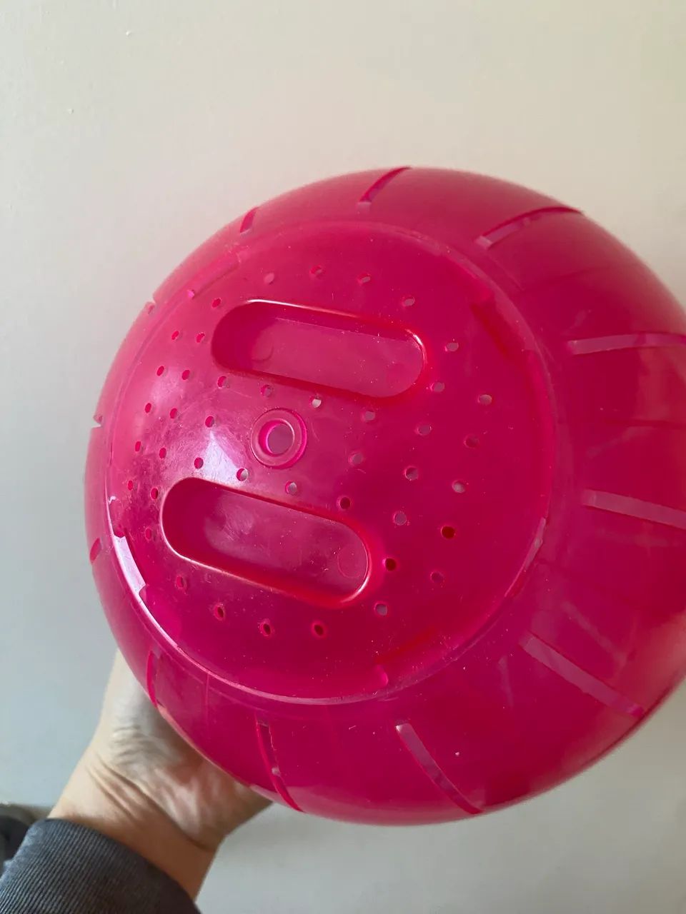 Bolinha hamster  - Foto 2