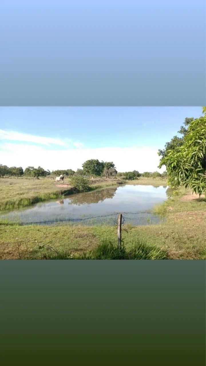 VENDO SÍTIO EM POCONE 10HC  - Foto 3