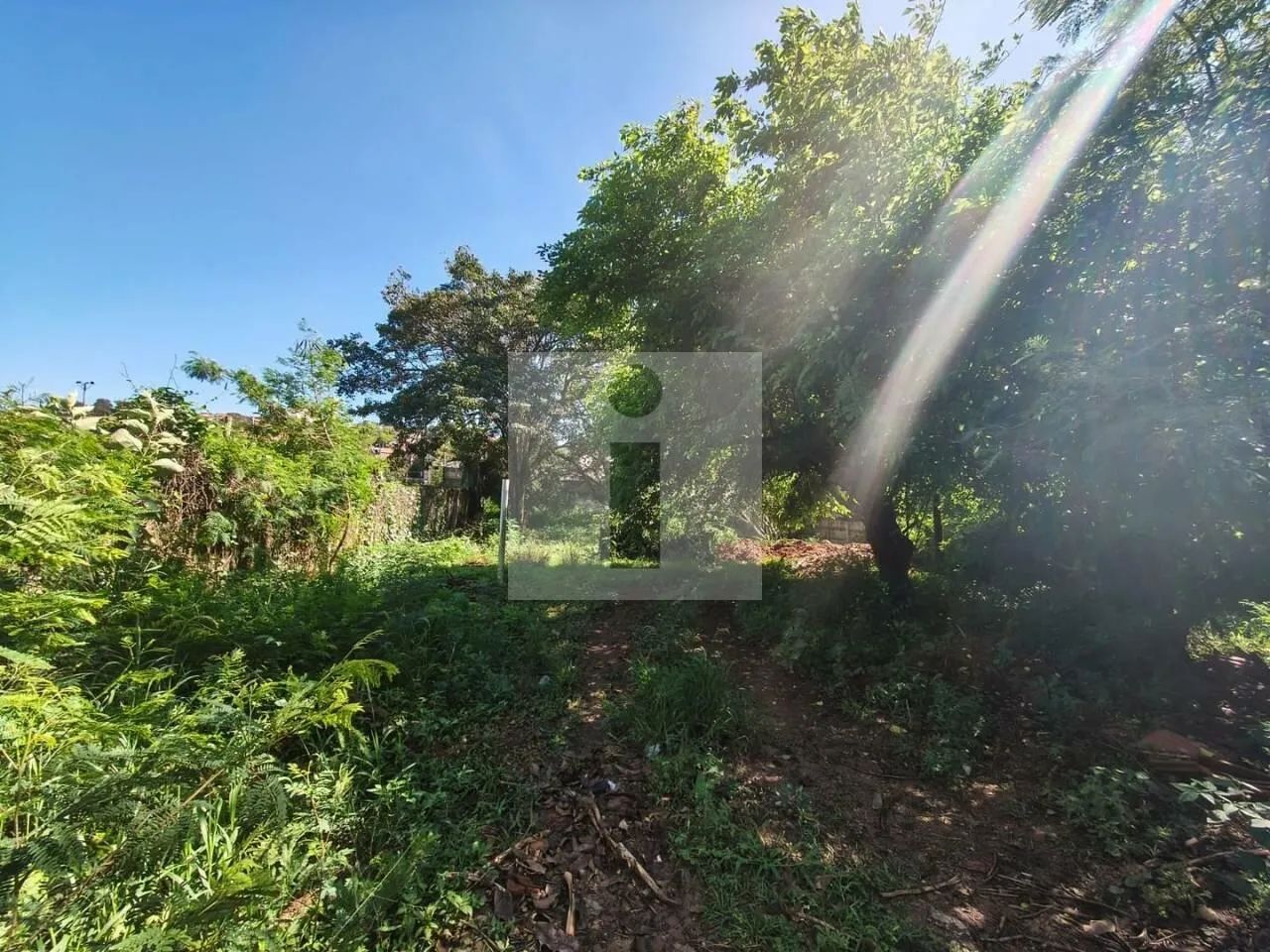 TERRENO PLANO A VENDA EN SOUSAS - 541M² - Foto 4