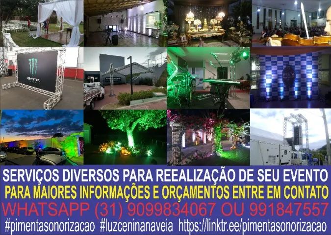 serviços diversos para a realização de seu evento. https://linktr.ee/pimentasonorizacao - Foto 3
