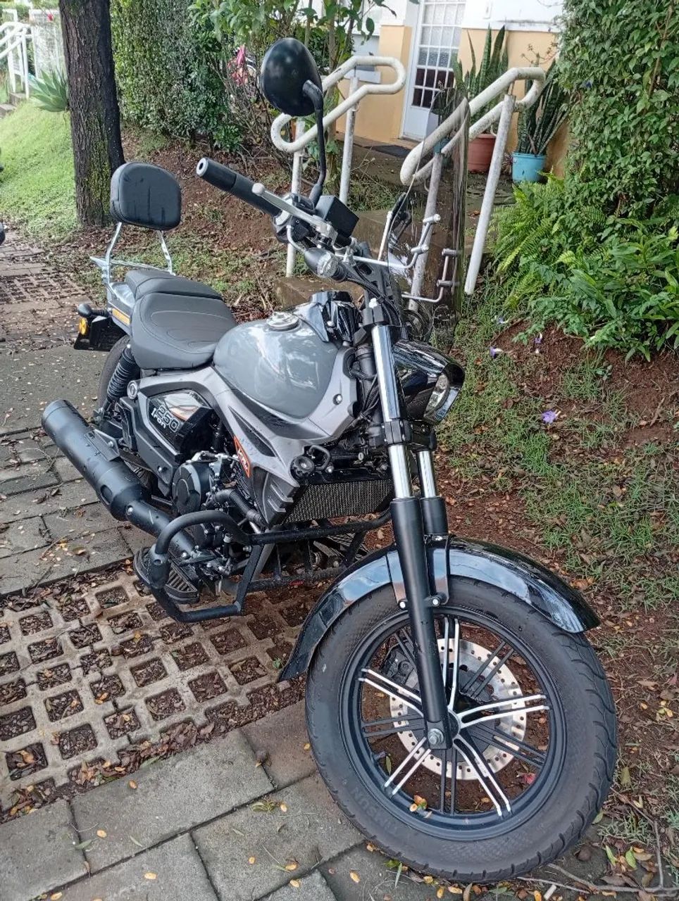 Iron 250  - Foto 4