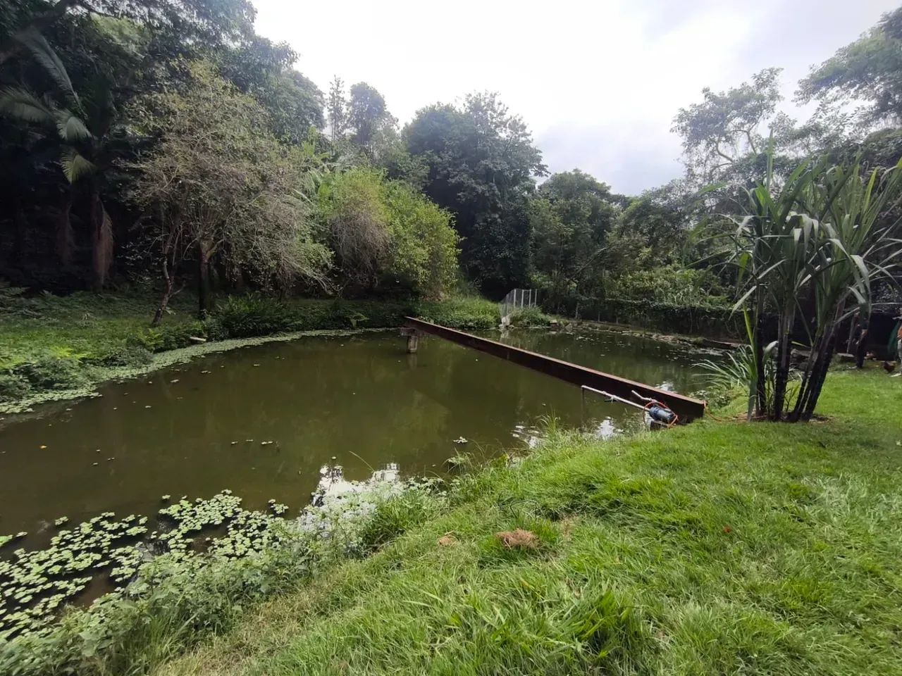 Chácara com lago  -  Vale Verde -Valinhos - SP - Foto 4