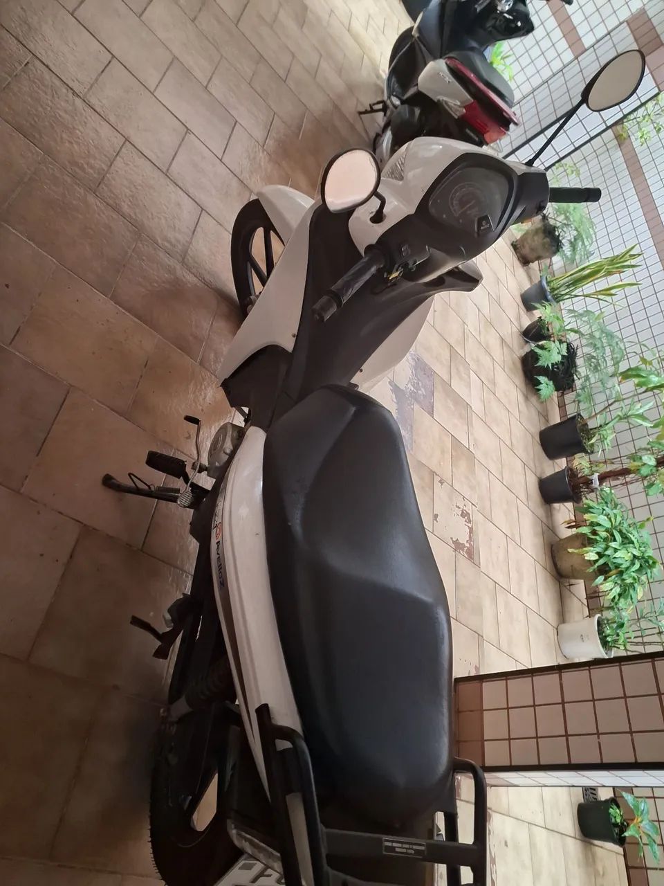 Avelloz 50 cc - Foto 4