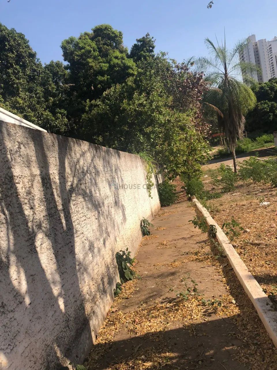 Terreno No Bairro Quilombo - Foto 3