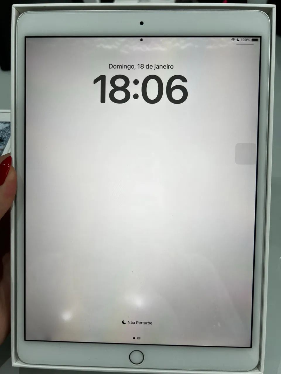 iPad Pro 10.5 256GB Wi-Fi Prata (A1701) + carregador completo e