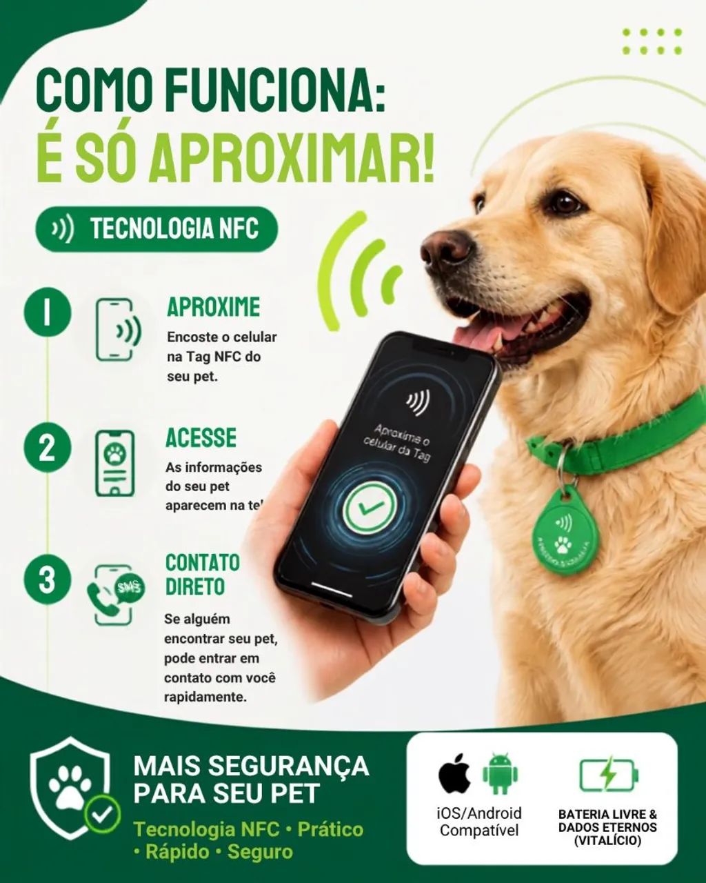 Proteja seu pets  - Foto 3