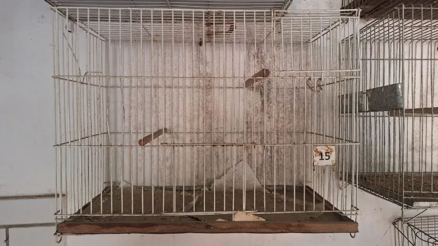 Gaiolas Usadas - Foto 5