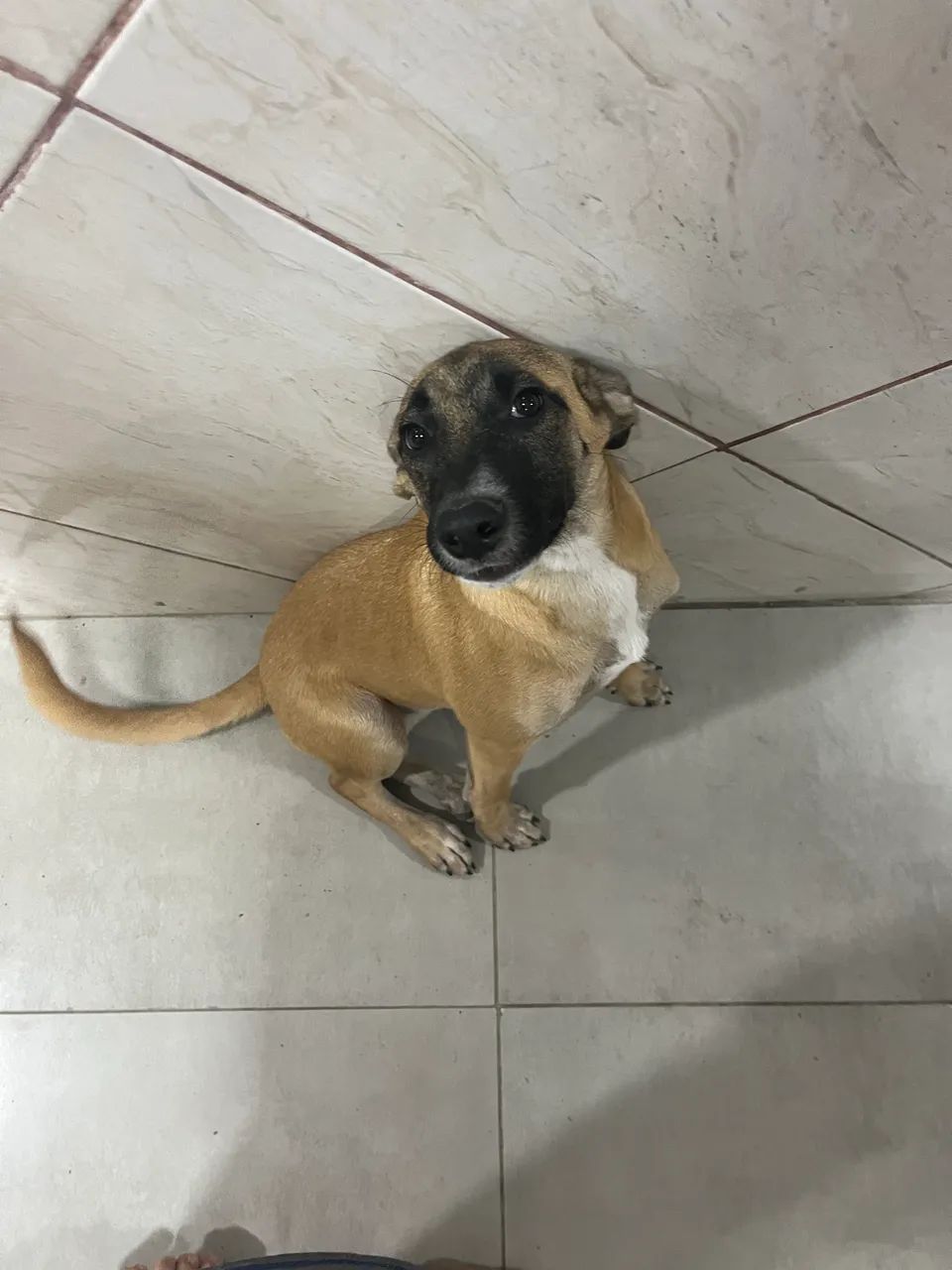 Doação  - Foto 5