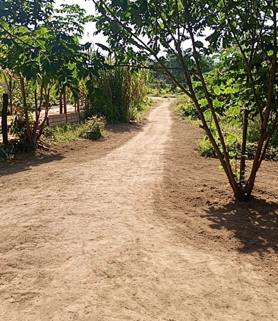Sítio pra vender  - Foto 2