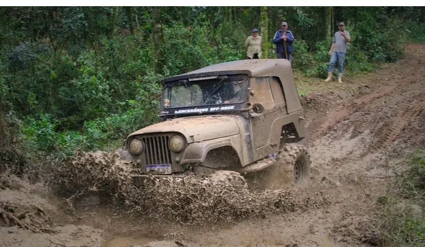 Ford Jeep Jeep 1954