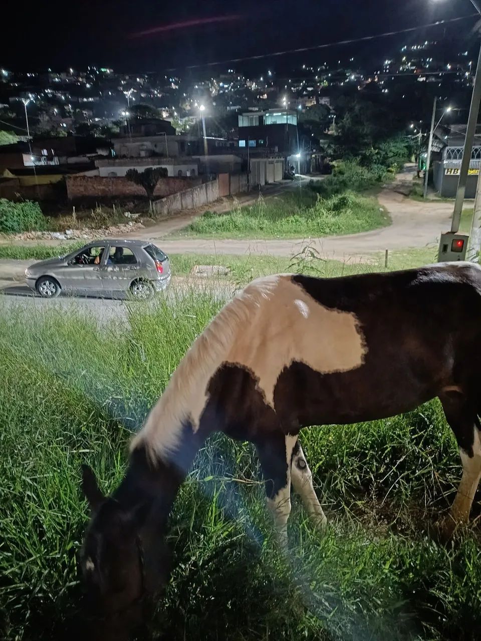 Oportunidade  - Foto 4