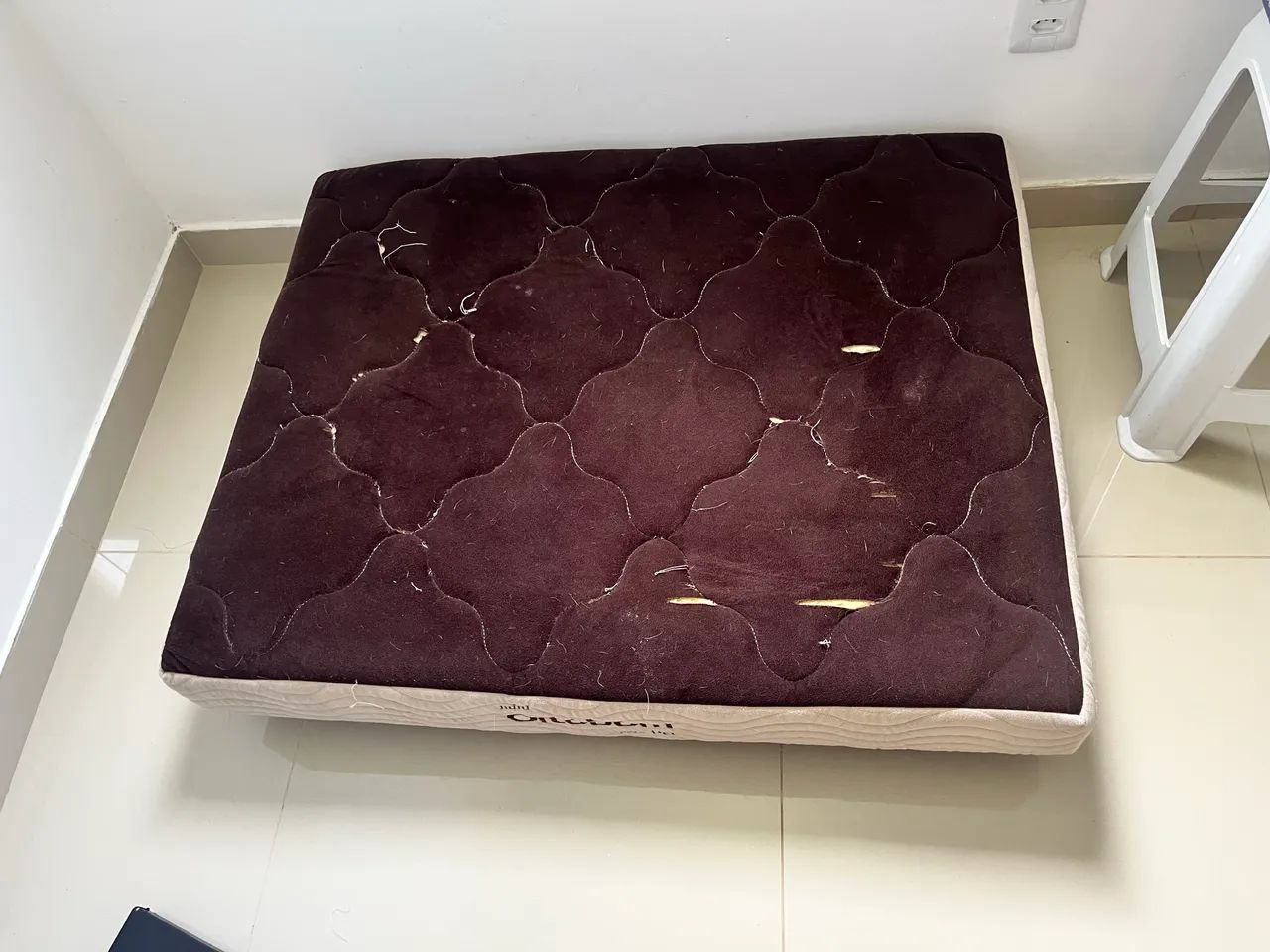 Cama para Pet - Foto 5
