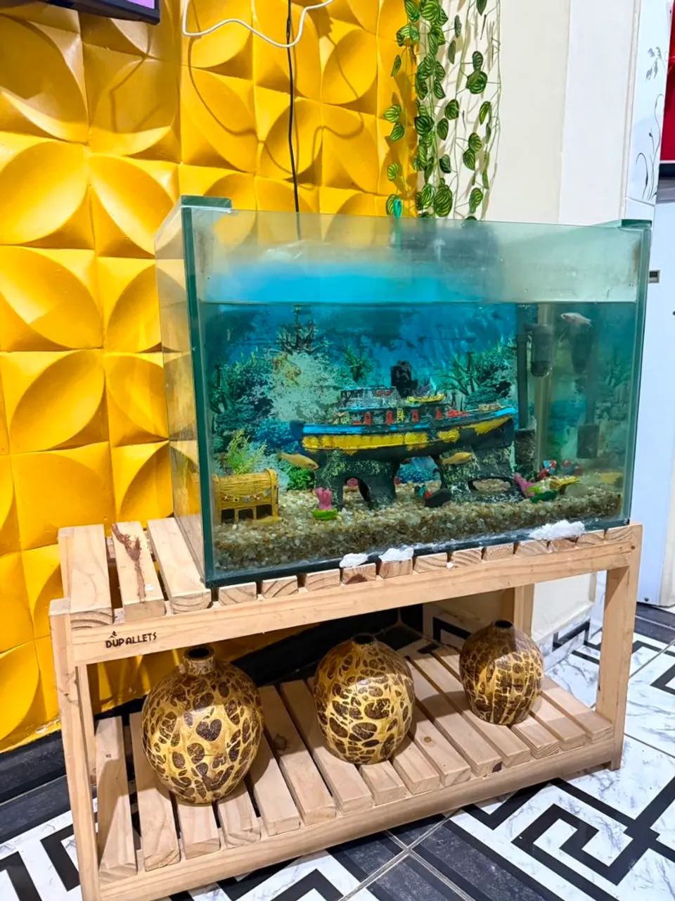 Aquário - Foto 2