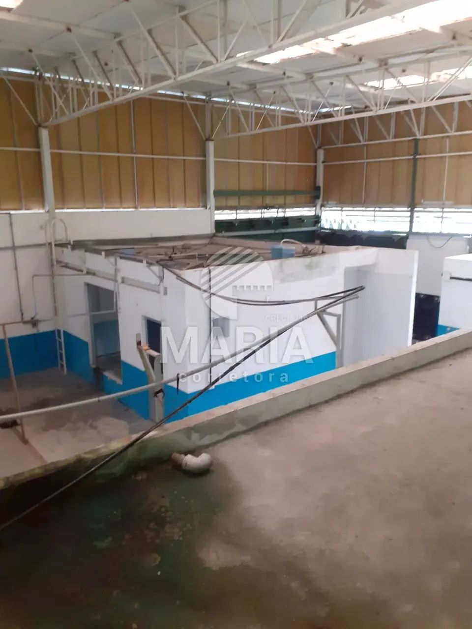 Galpão para alugar em Amaraji/PE, com 01 hectare terreno! - Foto 5