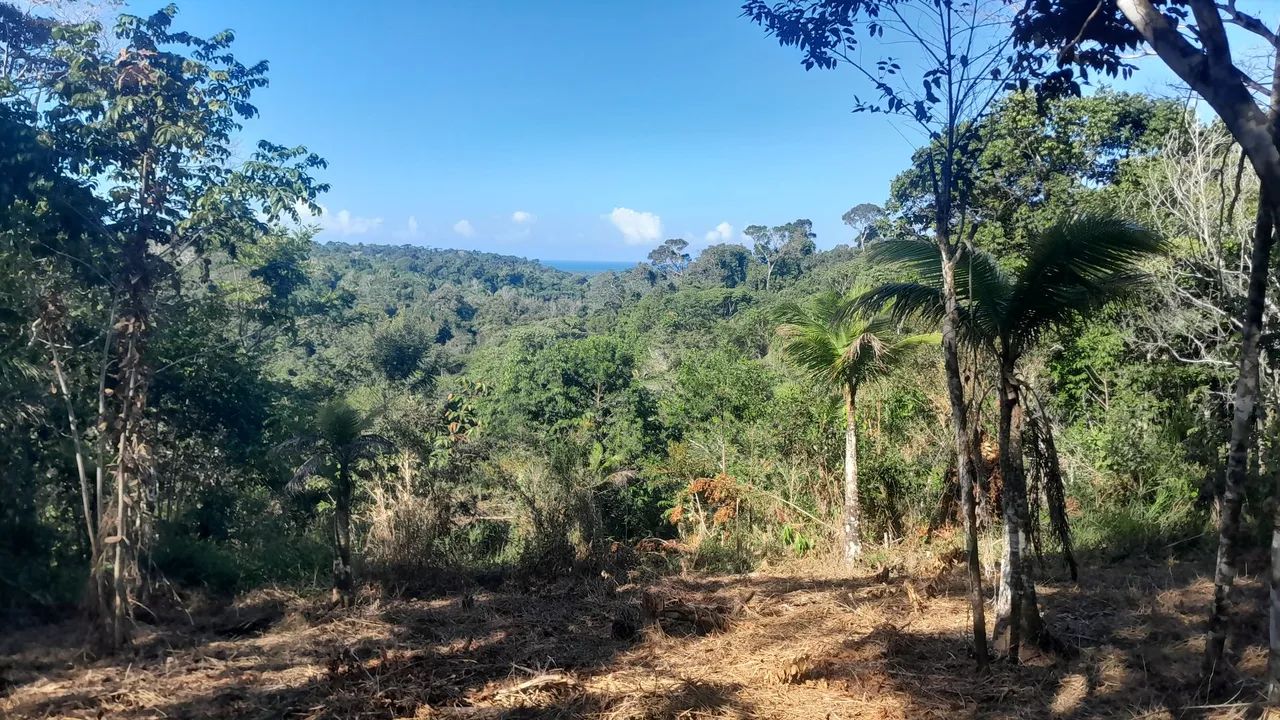 Sítio Itacaré Bahia - Foto 3