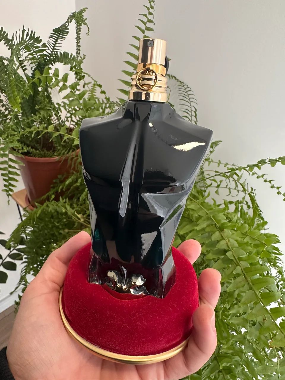 Perfume Jean Paul Gaultier Le Beau 