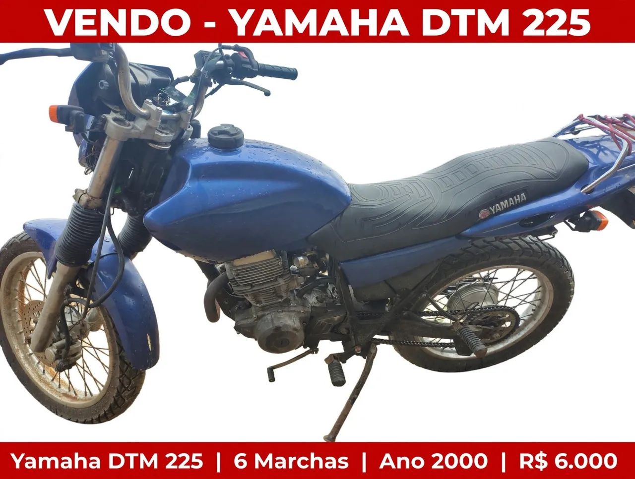 TDM 225  - Foto 2