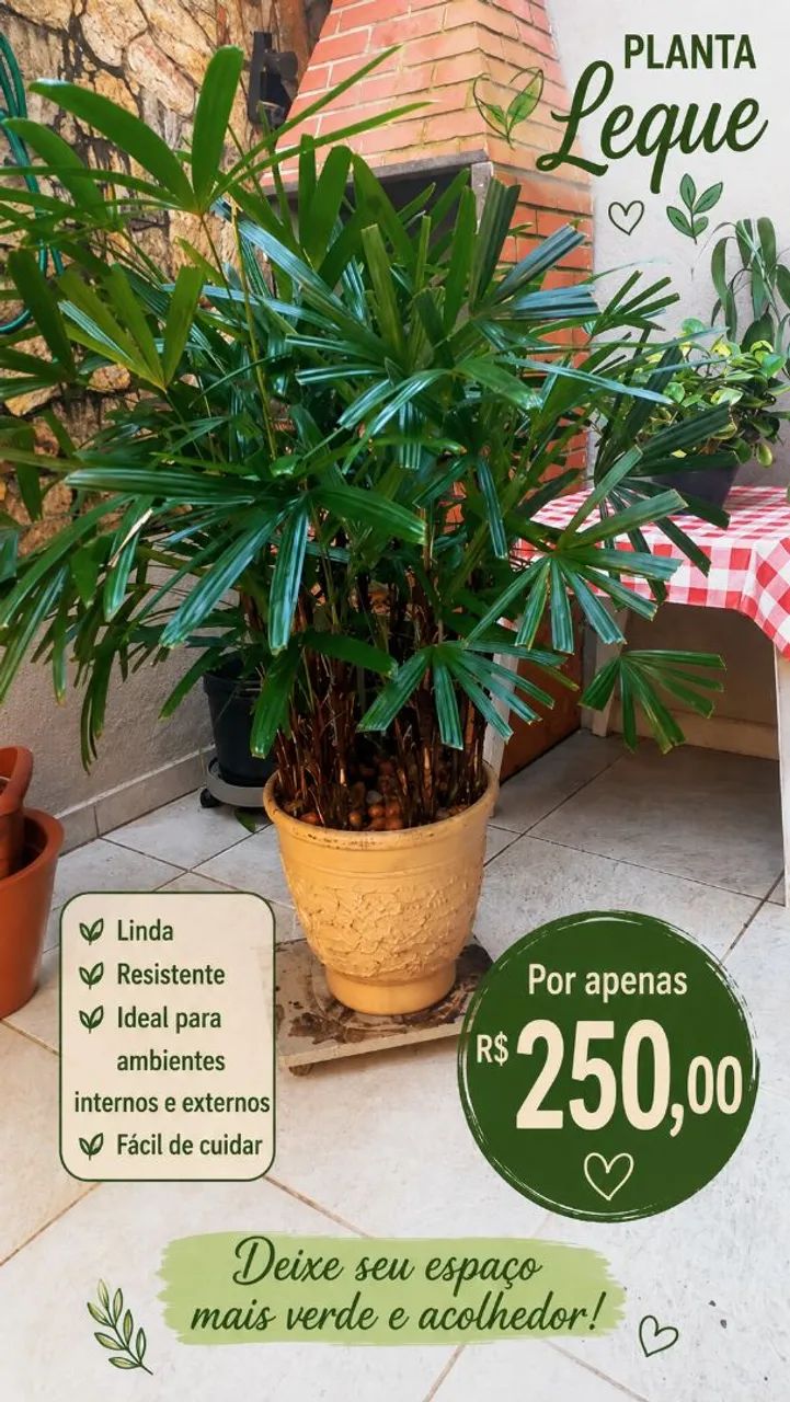 Planta