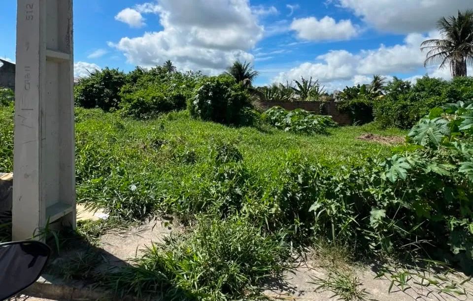 Chão de Casa 6x23