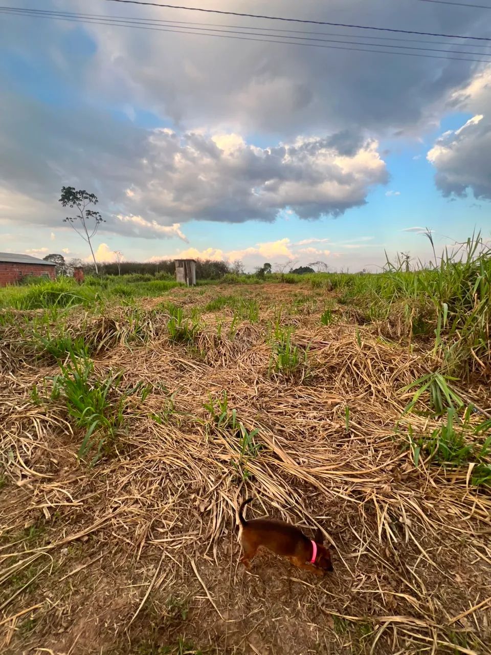 Envista no seu sonho ,oportunidade única! - Foto 4