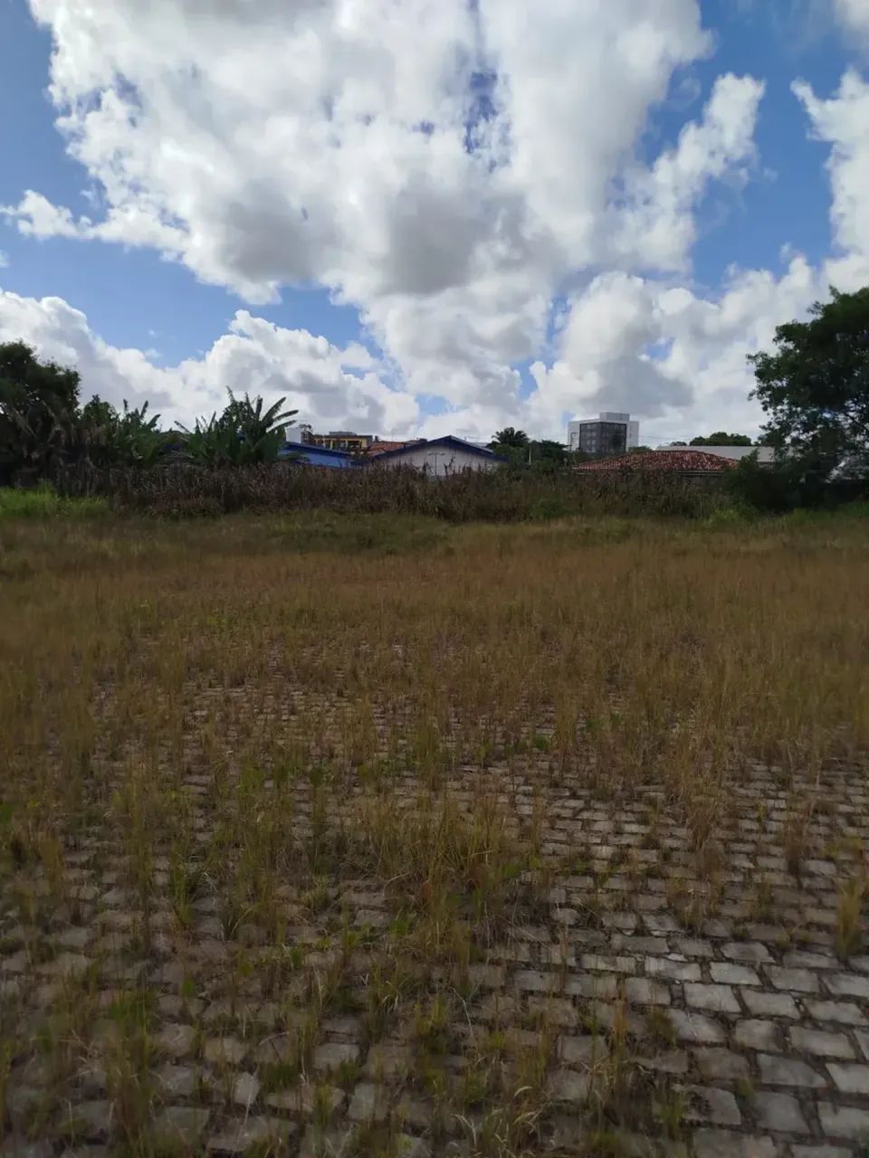 Área com 3.410m² em Nova Vitória - Camaçari - BA - Foto 4