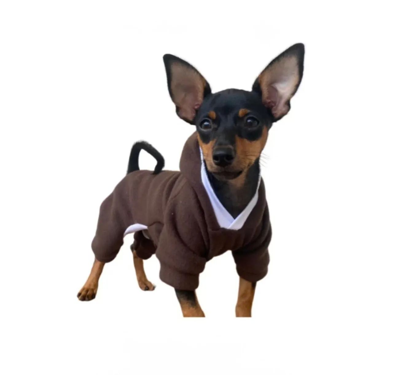 Macacão para pet com capuz