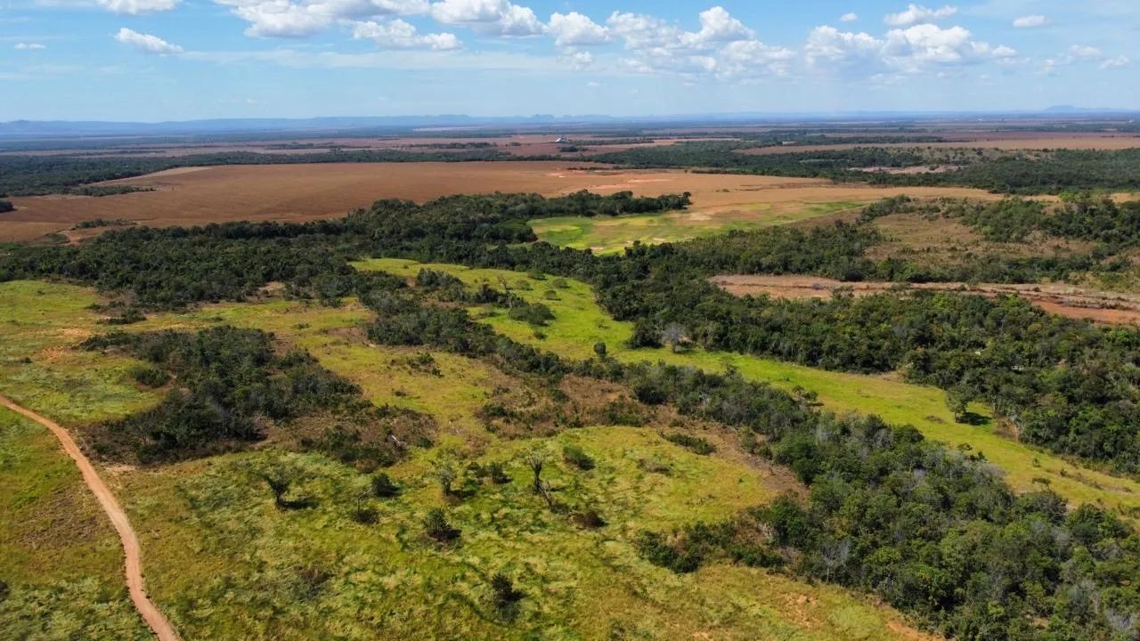 Fazenda de Dupla Aptidão - Silvanópolis  - Foto 4