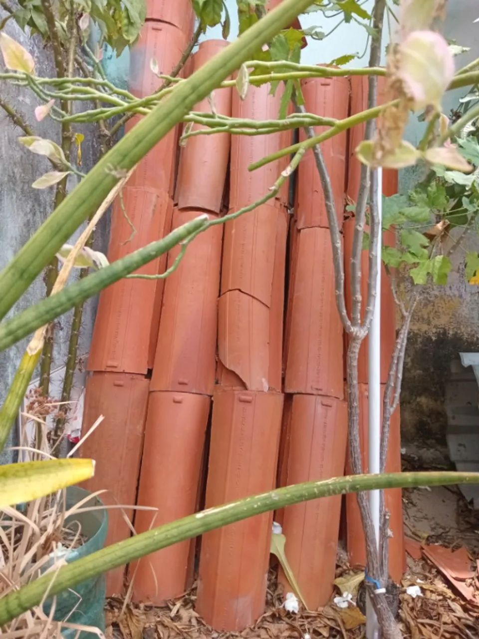 Telhas de barro - Foto 3