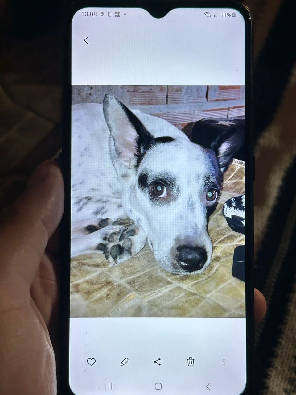Celular Samsung Galaxy A03 - Foto 2