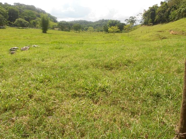 Jordão corretores - Fazenda 22 alqueires Cachoeiras de Macacu porteira fechada - Foto 3