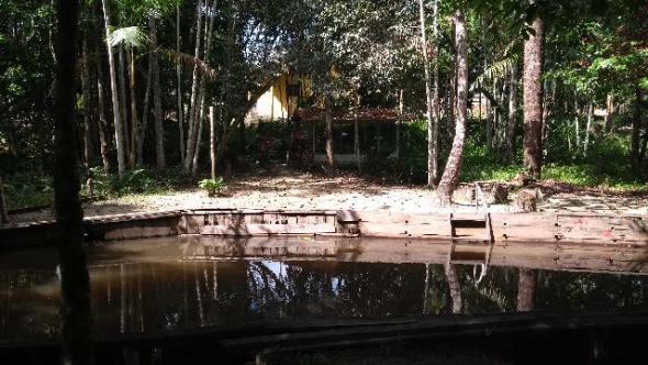 200 mil pra fechar o negocio Linda chácara no papuquara com uma casa com 3/4 ,sala,cozinha - Foto 2