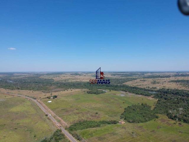 Fazenda na beira da BR 364 próximo à Cacoal - Foto 3