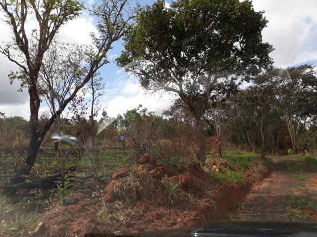 Vendo sitio 2 hectares (20.000 m2) - Foto 14