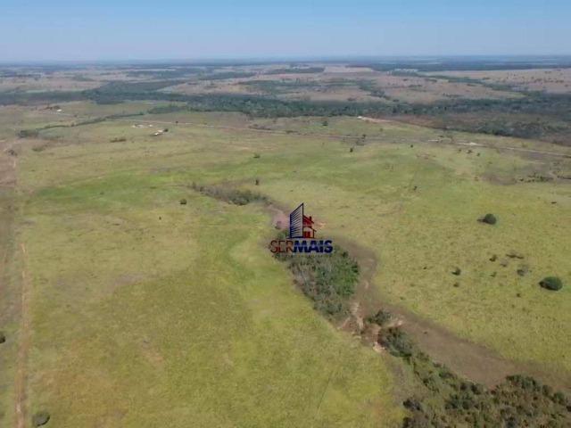 Fazenda na beira da BR 364 próximo à Cacoal - Foto 4