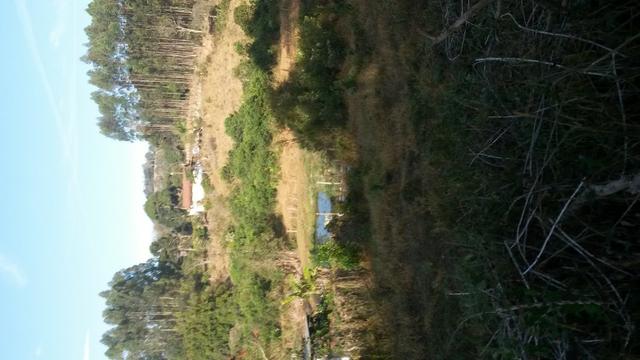 Fazenda na região de Carandai , MG* 20 hectares - Foto 18