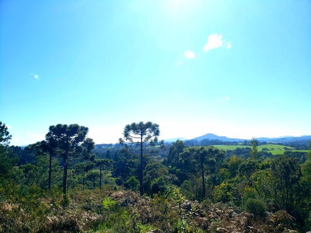 Belo Sítio com 30 hectares as Margens do Rio Canoas, em Rio Rufino - Foto 2