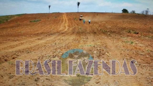 Fazenda em Itamaraju. Jucuruçu - Foto 7