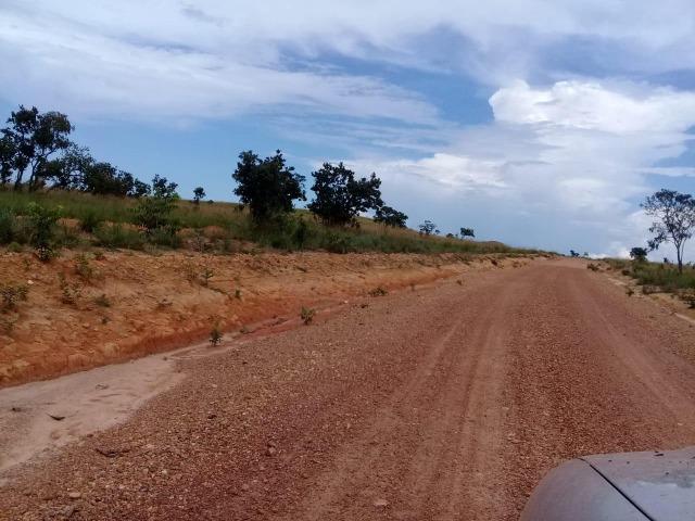 Fazenda de 840 alqs. dupla aptidão Proxima de Dois Irmãos - Foto 4